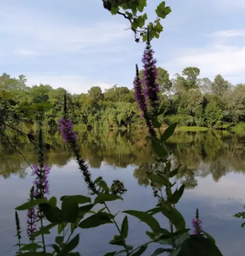 Etang de Charpentier