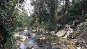 Ruisseau du Vacharès