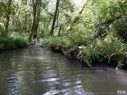 Ruisseau de Doulovy