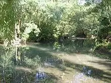 Ruisseau de la Soute