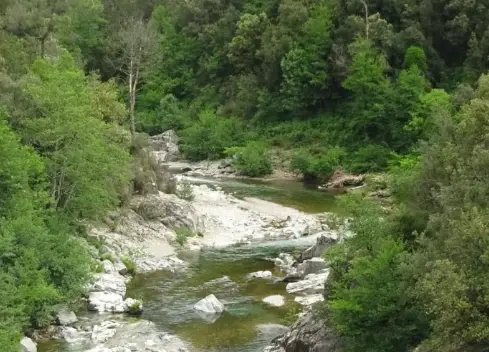 Ruisseau de Vitrac