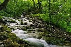 Ruisseau de Vieille Pesse