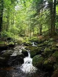 Ruisseau de la Canonnade