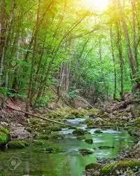 Ruisseau de Camplausis