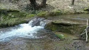 Ruisseau du Friquet