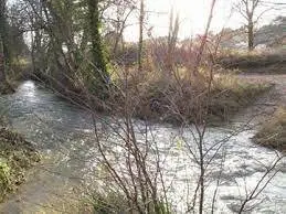 Ruisseau de Cantarel