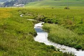 Ruisseau de la Candouillère