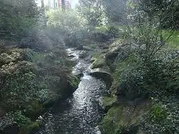 Ruisseau de Goujouse