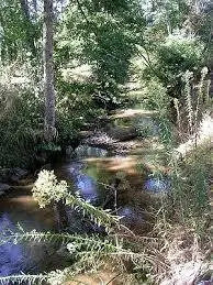 Ruisseau de Larrazieu