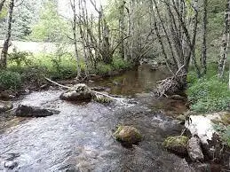 Ruisseau de Larluzen
