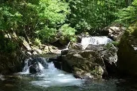 Ruisseau de la Soubire