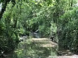Ruisseau des Crabères