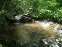 Ruisseau des Tachouères