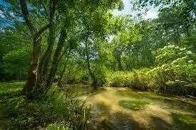 Ruisseau de Saint-Germier