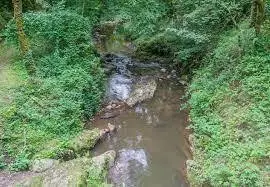 Ruisseau de Daignan