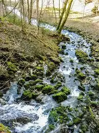 Ruisseau de la Caillauère
