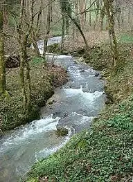 Ruisseau de Rambert