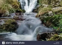 Ruisseau de la Bassoue