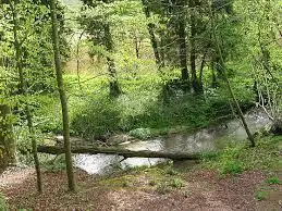 Ruisseau de Rieuzan