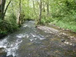 Ruisseau du Jarras