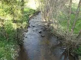 Ruisseau de Lelin