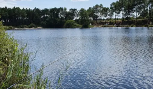 Etang de la Surgenne