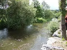 Ruisseau de la Vèbre