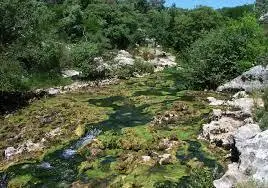 Ruisseau de Lamalou