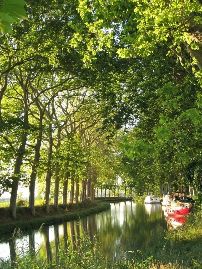 Le Canal du Midi