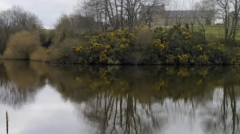 Retenue de Bois Joli