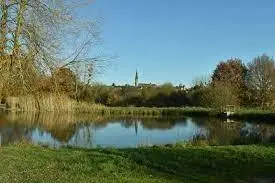 Etang communal de Gaël
