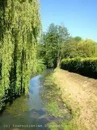 Ruisseau de l'Aigronne