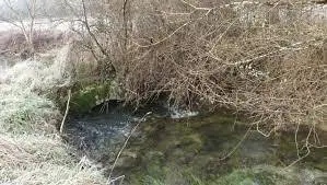 Ruisseau de Bellefont