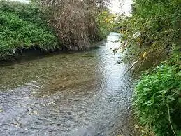 Ruisseau de la Curat