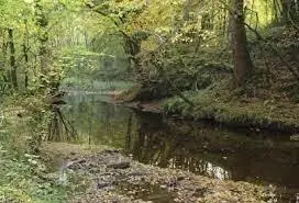 Ruisseau de Champarnoux