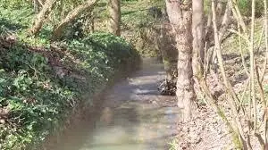 Ruisseau de la Pierre Bure