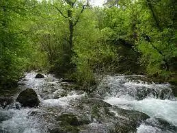 Ruisseau de la Font Chapereau