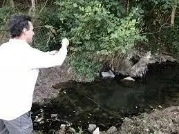 Ruisseau de l'Etang du Grand Ris