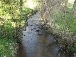 Ruisseau de Souvigny