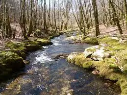 Ruisseau de la Font de la Goutte