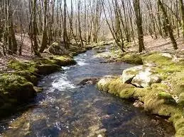 Ruisseau de la Font de la Goutte