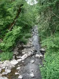 Ruisseau du Poinsonnet