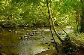 Ruisseau du Moulin de Fresne