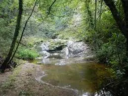 Ruisseau de l'Epeau