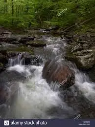 Ruisseau de la Luzeraize