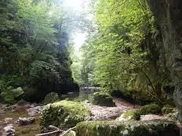 Ruisseau du Gros Puits