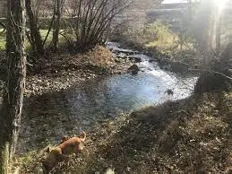 Ruisseau du Mortier Seigneur