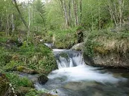 Ruisseau des Buânes