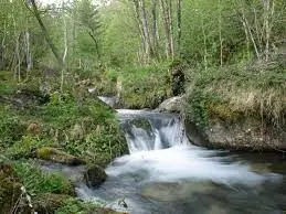 Ruisseau des Buânes