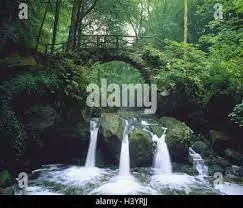 Ruisseau du Bois Billard